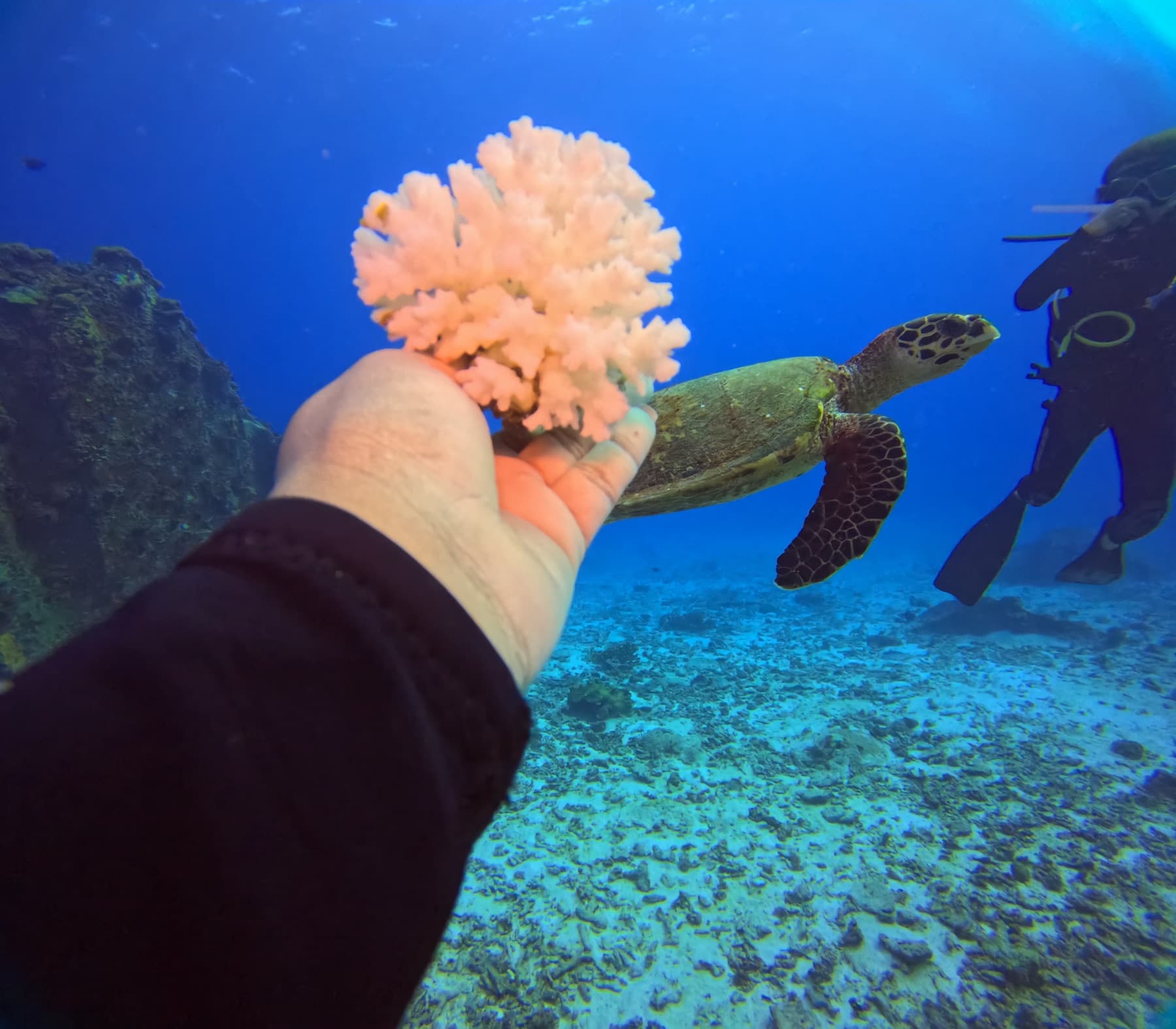 A Day in the Underwater Classroom