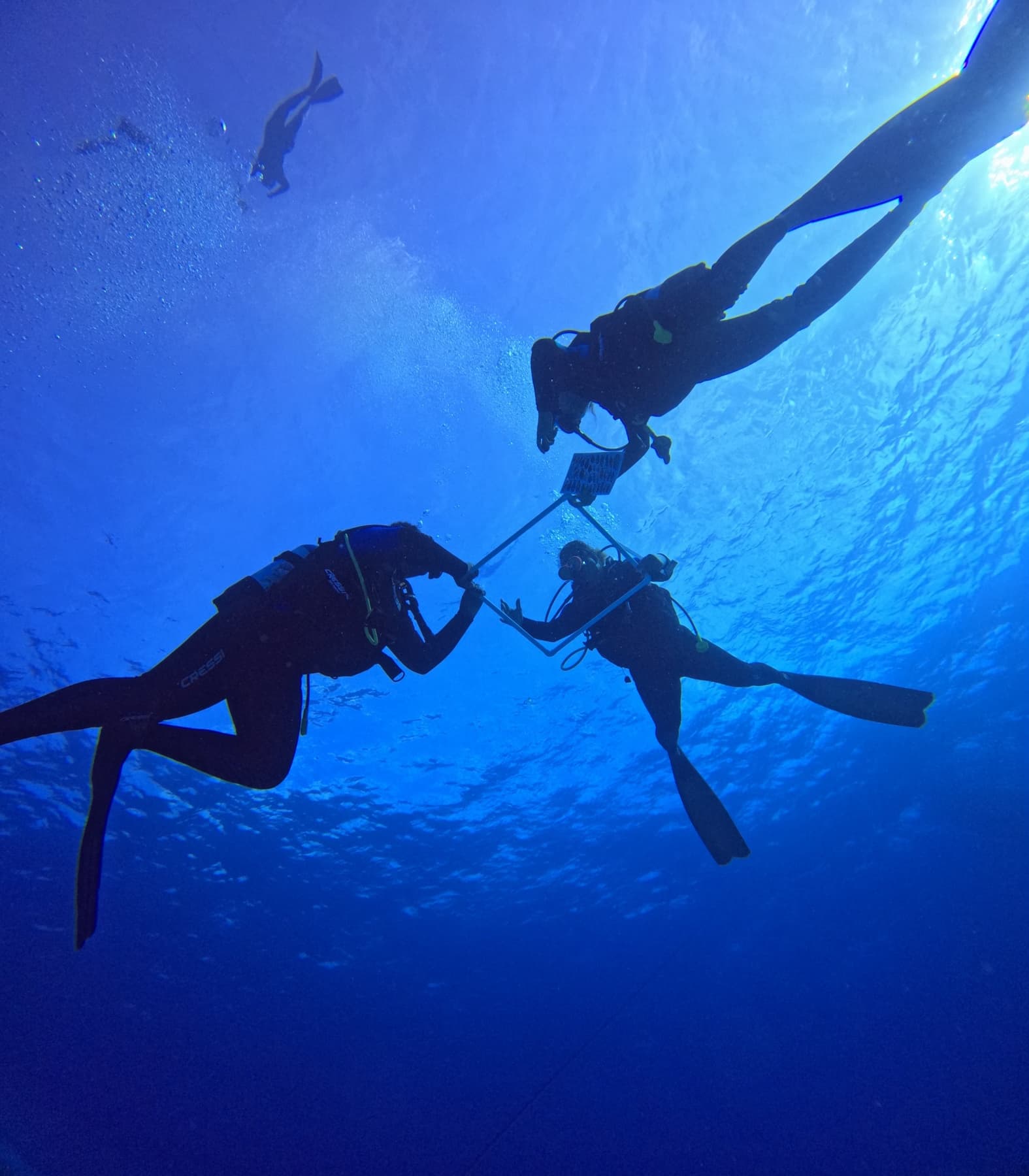 Marine education during an Underwater Classroom dive in the Seychelles